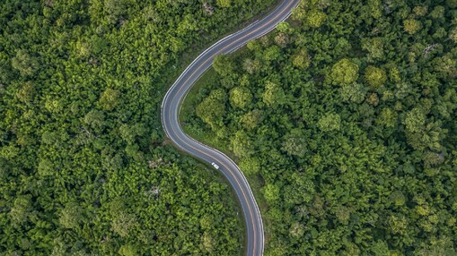 For emissions that cannot be avoided or reduced, compensate with quality Carbon Credits