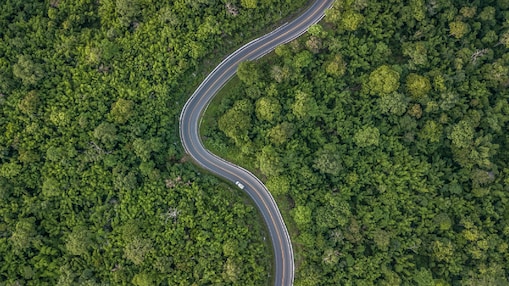 For emissions that cannot be avoided or reduced, compensate with quality Carbon Credits