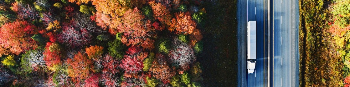 Decarbonising your fleet: five actions you can take today