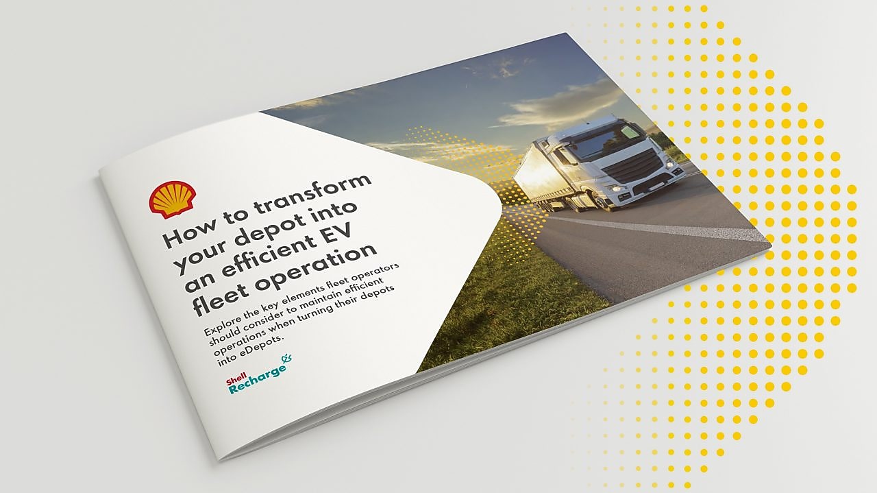 Mockup of the eDepot solutions paper