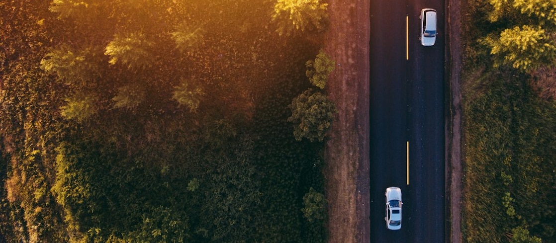 Cars driving a road with green trees on the side