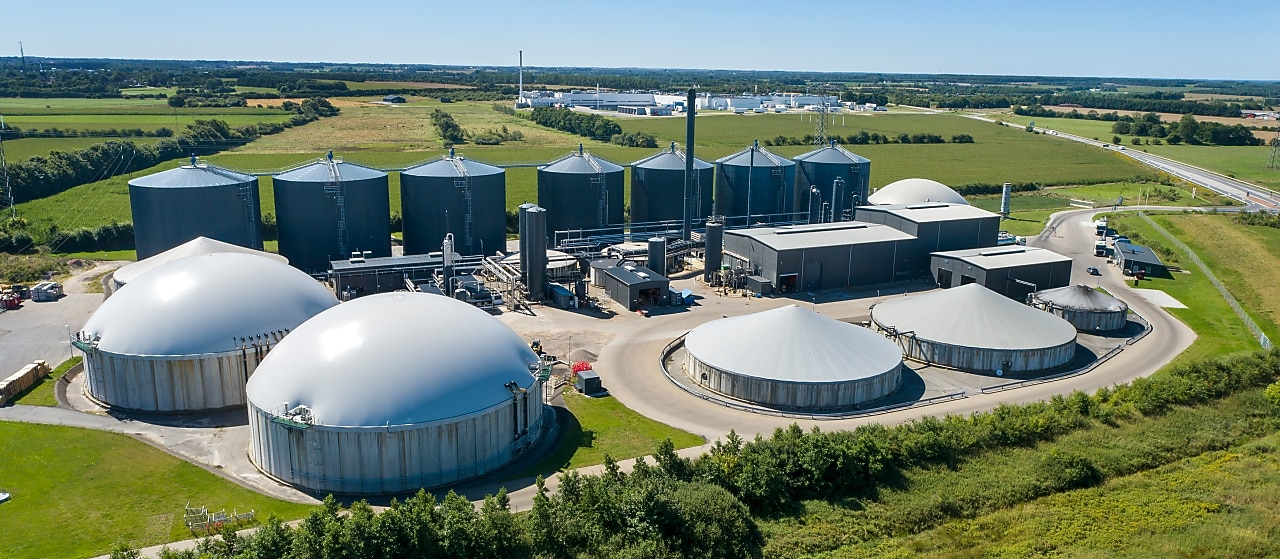 Section of a biofuels plant