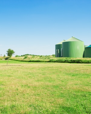 Green biofuel storage tanks sit beside an open grassy field under a clear blue sky, with minimal structures and trees in the distance.