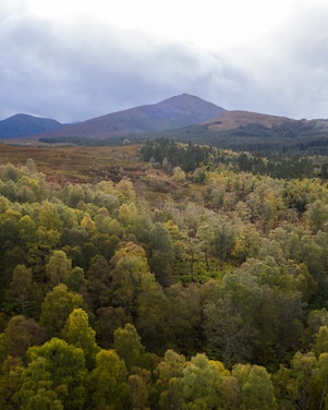 Forestry and Land Scotland is working with Shell UK to preserve and extend native woodland in Glengarry forest project aims to nurture and support the natural regeneration of Scotland’s forests.