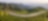 Green terraced tea plantations covering rolling hills with a winding road running through, set against a backdrop of distant mountains.