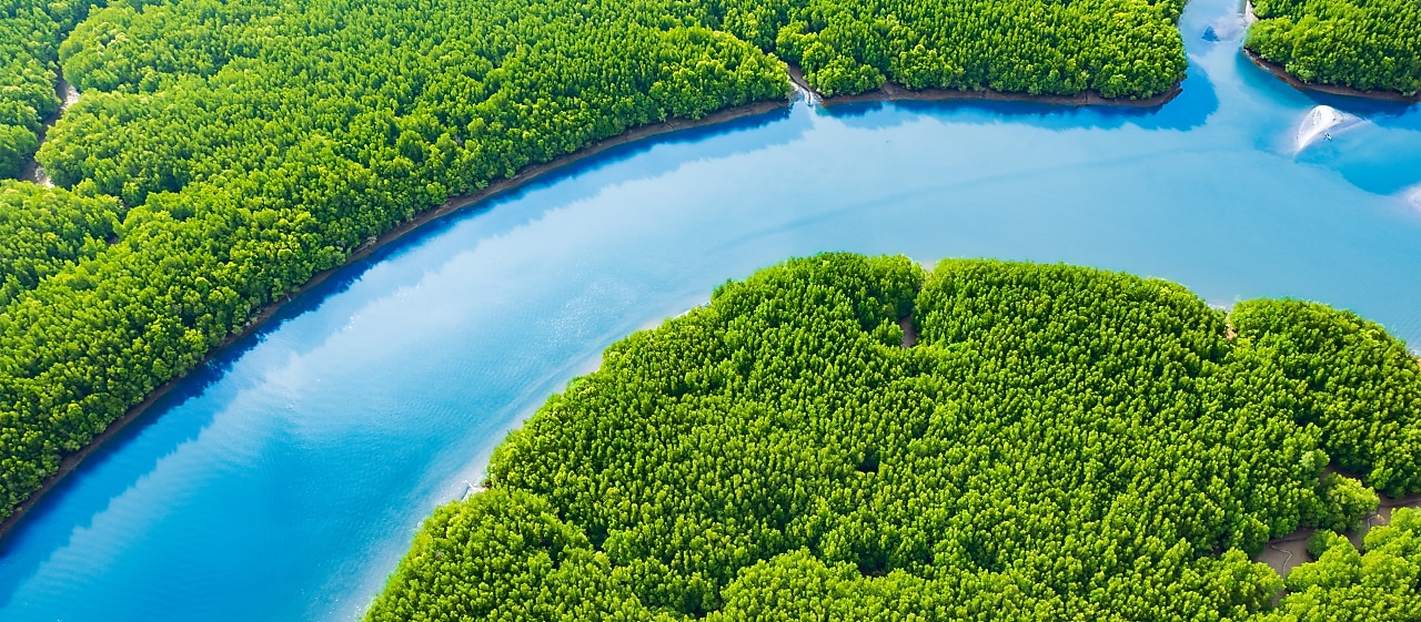 A winding blue river surrounded by dense, vibrant green forest viewed from above.