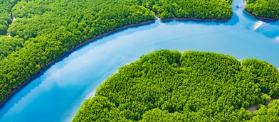 A winding blue river surrounded by dense, vibrant green forest viewed from above.