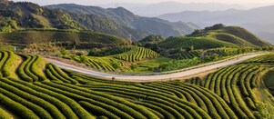 Lush green terraced hills with a winding road cutting through the landscape, backed by distant mountain ranges under a clear sky.