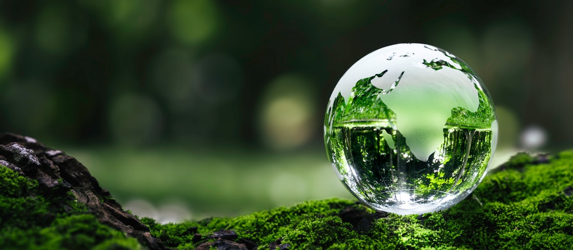 Glass sphere reflecting a green forest landscape, resting on moss-covered ground with a softly blurred woodland background.