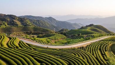 Lush green terraced hills with a winding road cutting through the landscape, backed by distant mountain ranges under a clear sky.