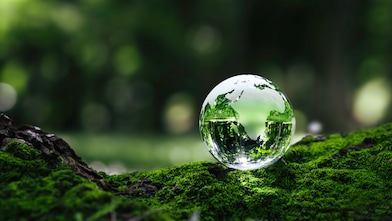 Glass sphere reflecting a green forest landscape, resting on moss-covered ground with a softly blurred woodland background.