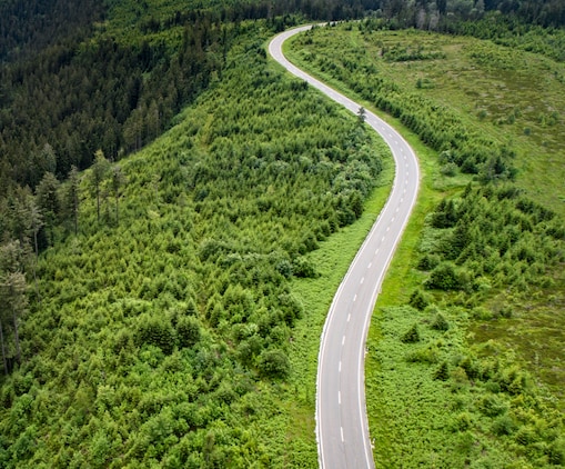 Aerial view of a winding two-lane road cutting through dense green forest, bordered by mature conifers and areas of younger growth.