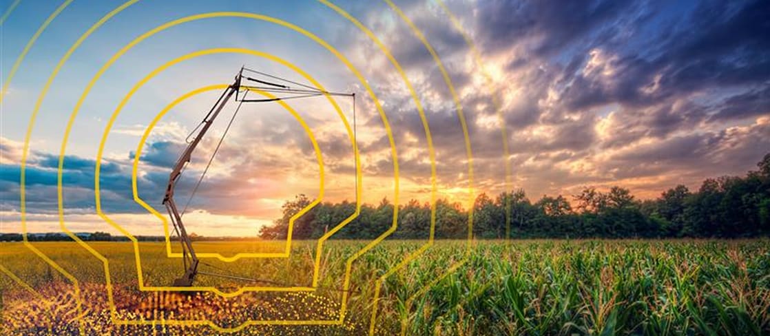 Sunset over a field with a data-collecting sensor tower surrounded by crops, overlaid with a stylised yellow Shell logo and digital data points.