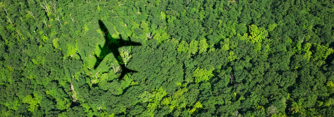 Aerial view of a dense green forest with the shadow of an airplane cast across the treetops.