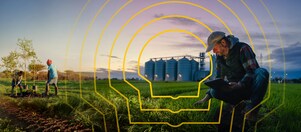 farmers working in a green field at sunset