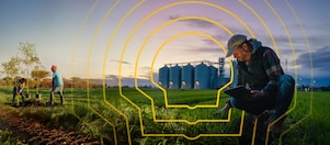 farmers working in a green field at sunset