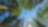 A commercial airplane flying overhead, framed by tall green trees from a forest floor perspective.