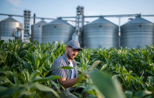 A farmer wearing a checked shirt and a cap examines a corn plant while using a tablet in a lush green cornfield.