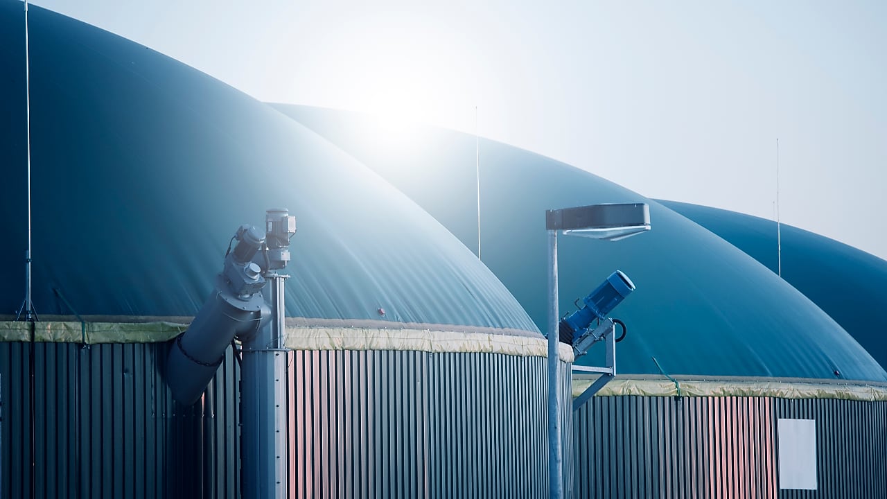 A row of large, dome-shaped biogas storage tanks with smooth green covers, illuminated by soft sunlight