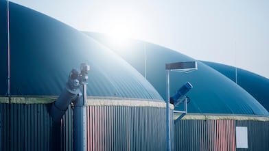 A row of large, dome-shaped biogas storage tanks with smooth green covers, illuminated by soft sunlight