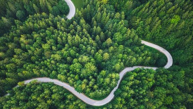 Compensate emissions with carbon credits