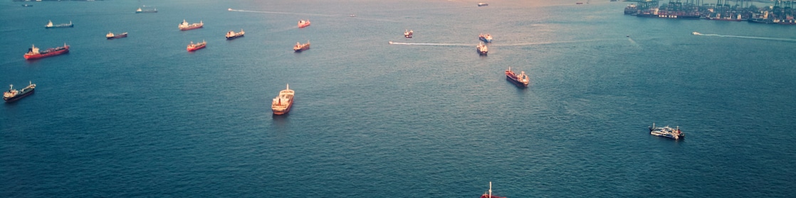 Aerial view of multiple cargo ships and tankers scattered across a busy harbor, with port cranes and coastline in the background.