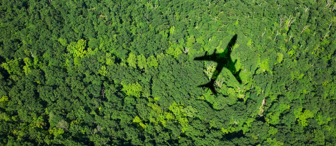 Aerial view of a dense green forest with the shadow of an airplane cast across the treetops.