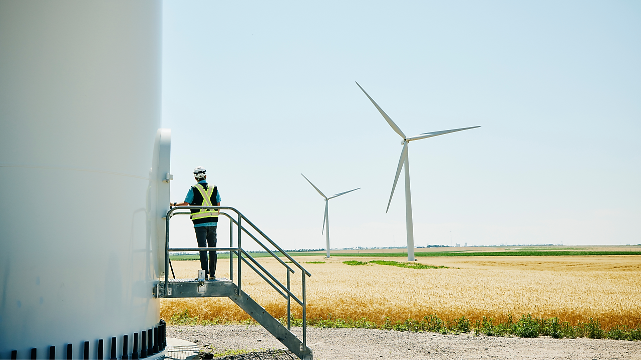 Farmer in a field looking at an electronic device