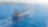 commercial fishing vessel