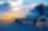 Aviation
