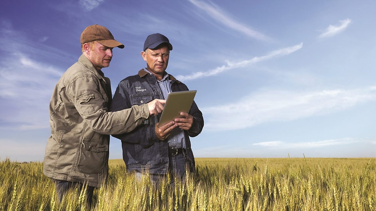 Thiogro Sulphur plant