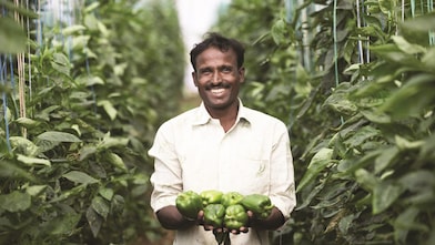 Man holding capsicum