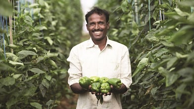 man holding capsicum