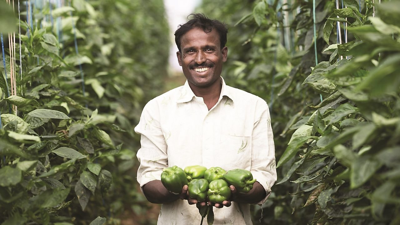 man holding capsicum