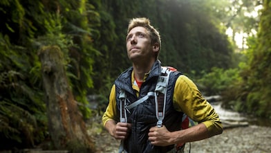 Hiking through the Redwood forest.