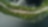 Aerial view of a winding road cutting through a dense forest, flanked by a large body of water on both sides. The road curves gently through lush green trees, with dark, reflective water and patches of shoreline vegetation. A single vehicle travels along the road, highlighting the peaceful and remote setting.