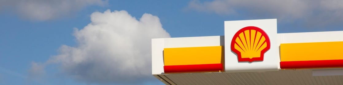 Shell pecten on retail site