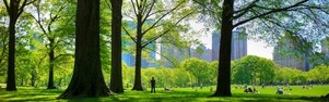 Central Park, New York, USA