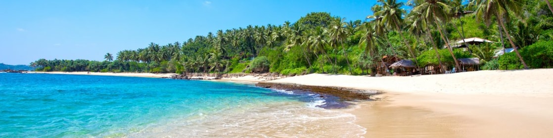 Palm trees, tropical beach
