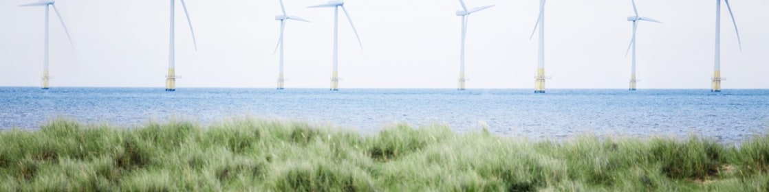 Offshore Wind Energy