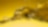 Shell oils and lubricants