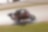 honda motorcycle rider