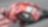 Shell Advance Racing M