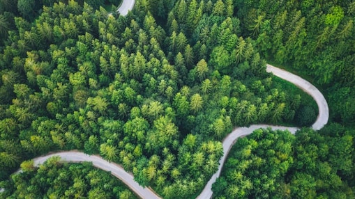 Prioritising sustainability