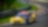 BMW M Motorsport 24 H Nurburgring 2023