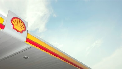 Shell pecten logo