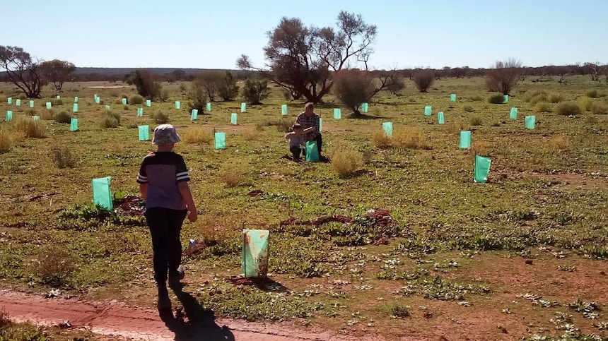 It is Europe’s largest PEM hydrogen electrolyser