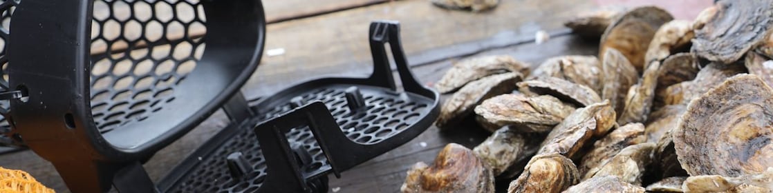 Oysters