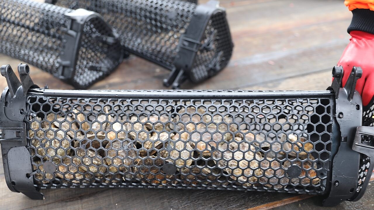 Oyster inside cages 