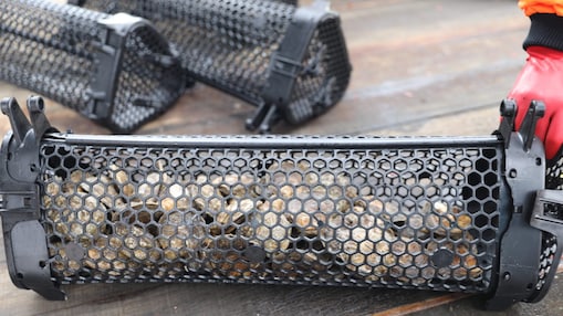 Oyster inside cages 